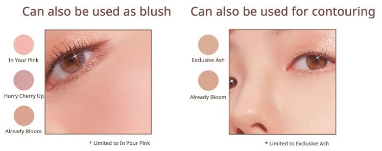 PERIPERA-All-Take-Mood-Technique-Palette-02-Shall-We-Cherry-Tipps